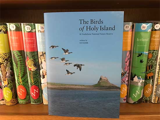 BIRDWATCHING ON HOLY ISLAND