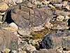 Gallery 3: image 4 0f 6